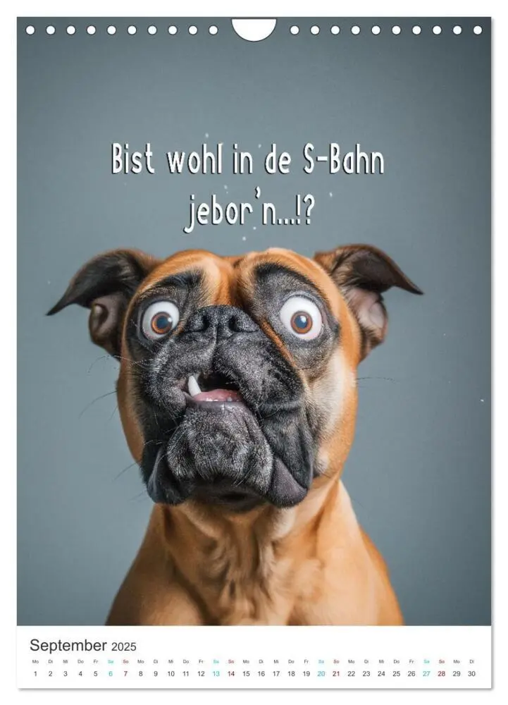 Bild: 9783383779770 | Lustige Tiere (Wandkalender 2025 DIN A4 hoch), CALVENDO Monatskalender