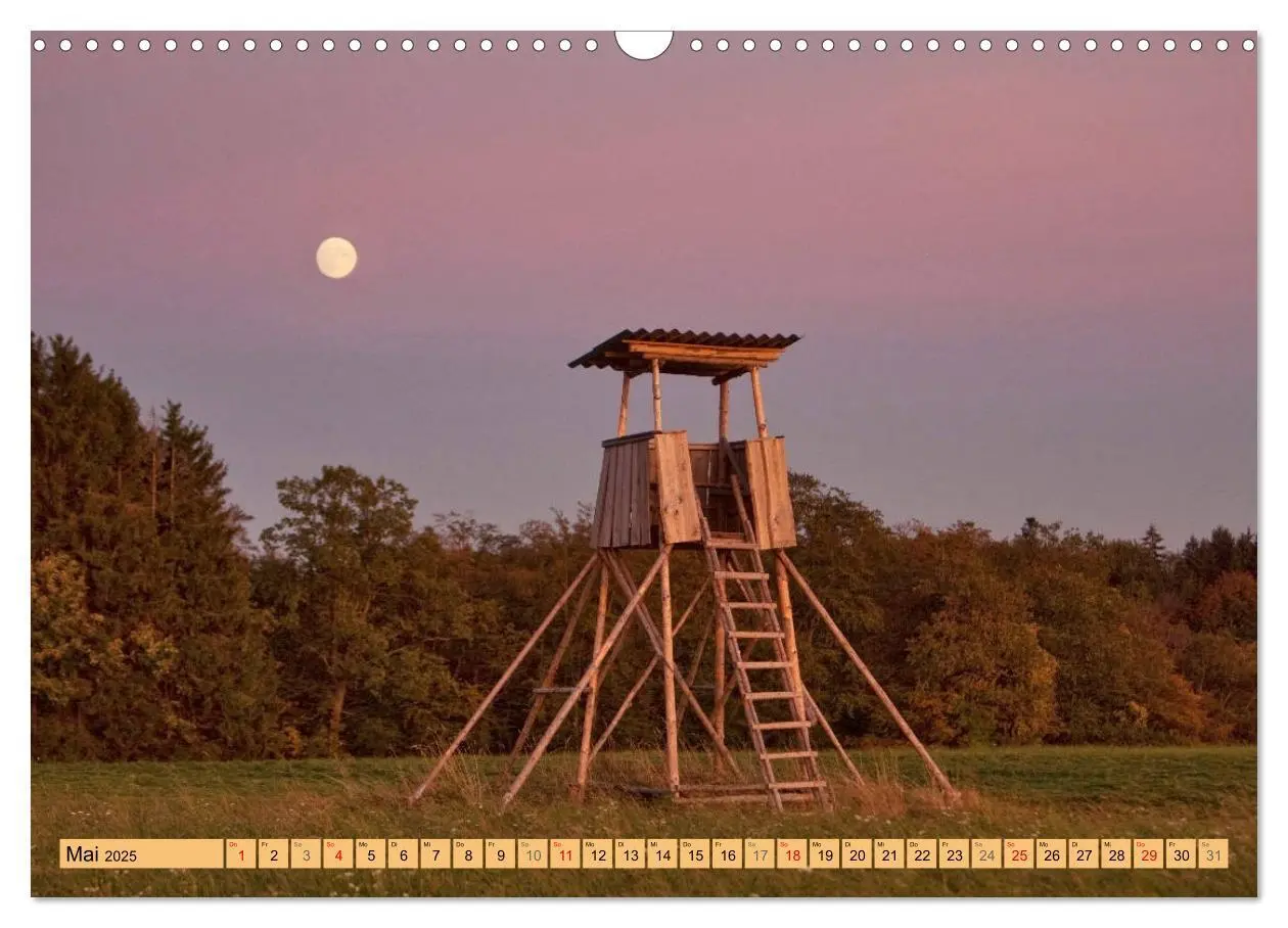 Bild: 9783435179770 | HOCHgesessen (Wandkalender 2025 DIN A3 quer), CALVENDO Monatskalender