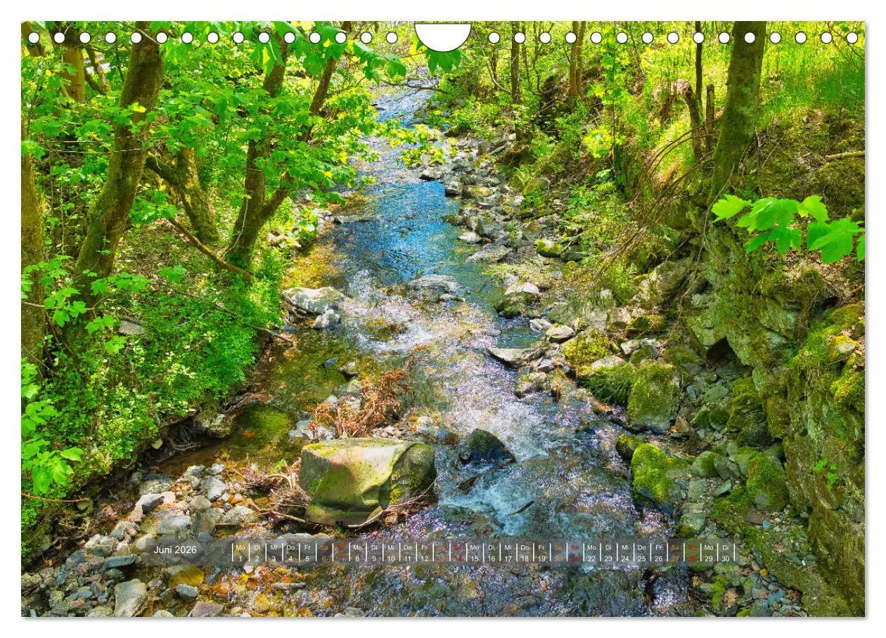 Bild: 9783457579770 | Faszination Thüringer Wald (Wandkalender 2026 DIN A4 quer),...