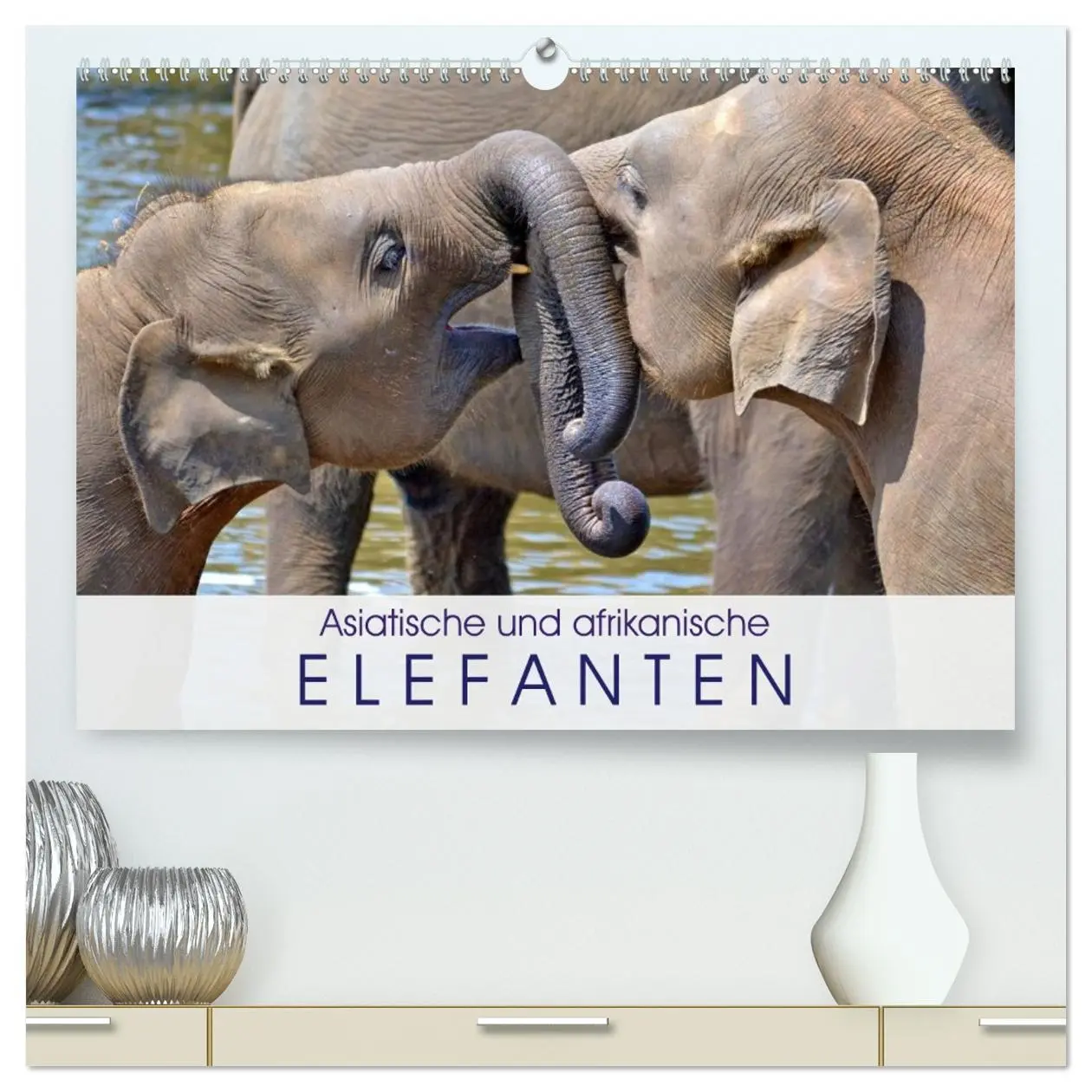 Cover: 9783457959770 | Asiatische und afrikanische Elefanten (hochwertiger Premium...