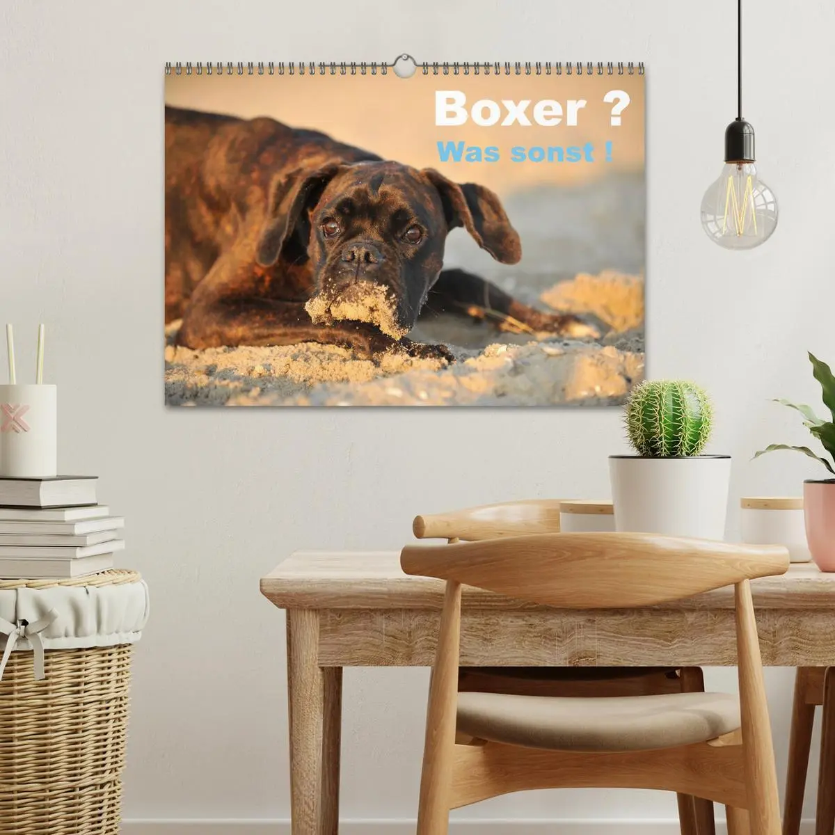 Bild: 9783516049770 | Boxer ? Was sonst ! (Wandkalender 2026 DIN A3 quer), CALVENDO...