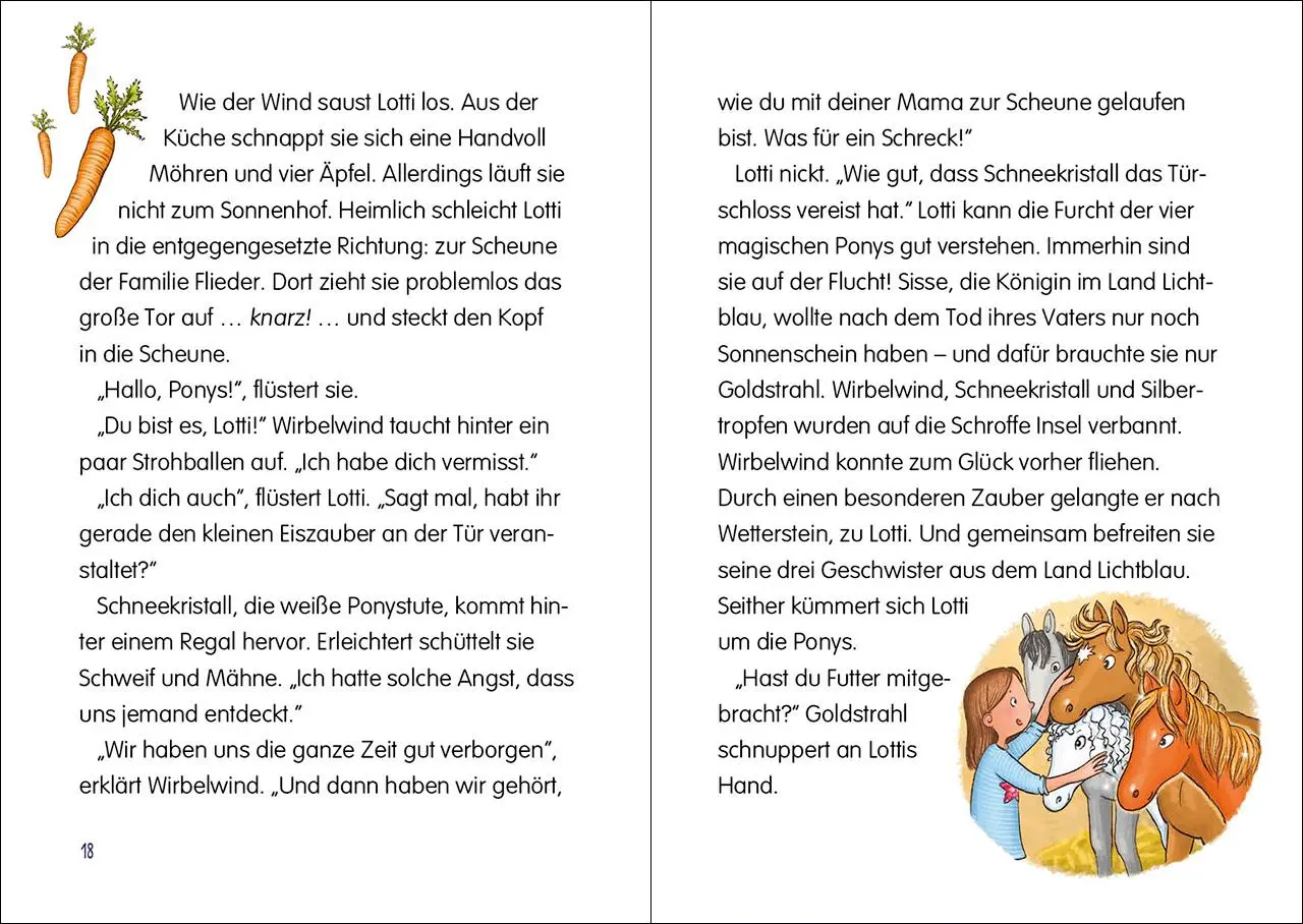 Bild: 9783743209770 | Die Wolkenponys (Band 2) - Die Nacht des roten Mondes | Barbara Rose