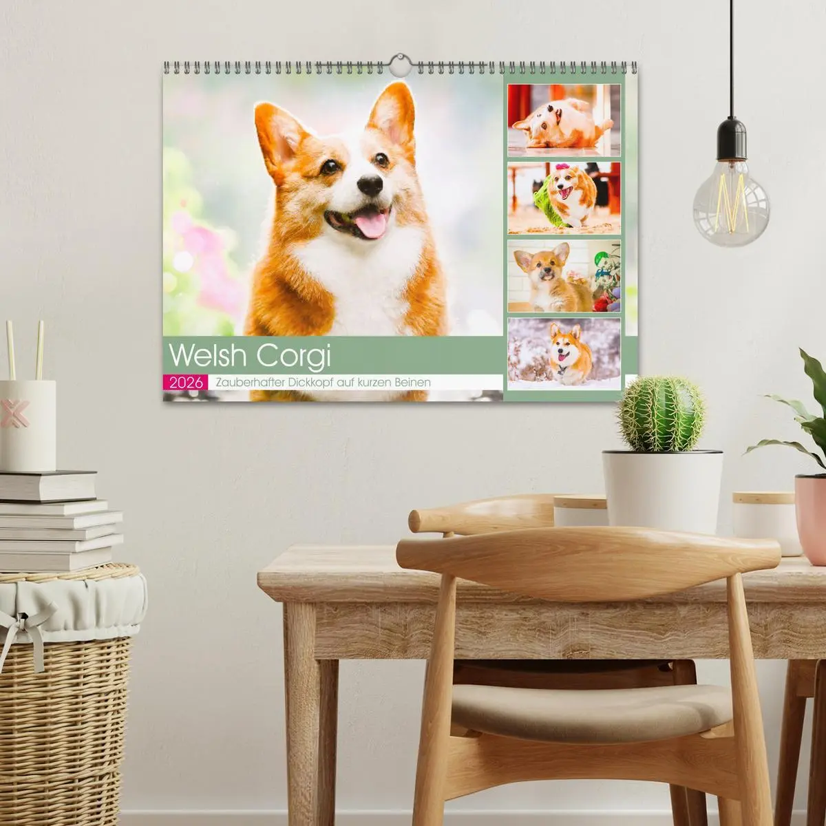 Bild: 9783457569870 | Welsh Corgi. Zauberhafter Dickkopf auf kurzen Beinen (Wandkalender...