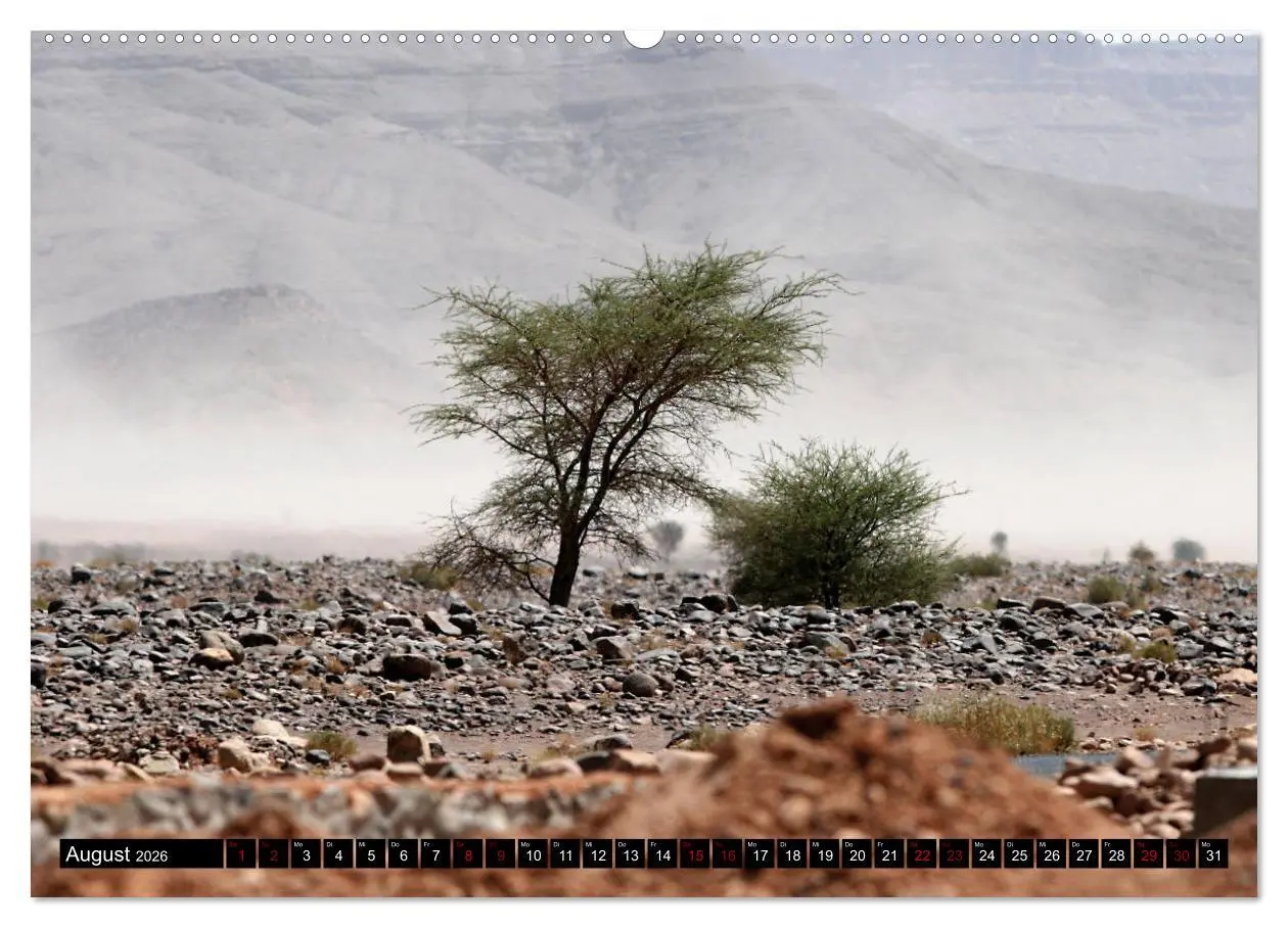 Bild: 9783457879870 | Marokko total (Wandkalender 2026 DIN A2 quer), CALVENDO Monatskalender