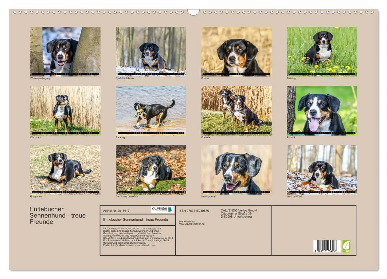 Bild: 9783516039870 | Entlebucher Sennenhund - treue Freunde (Wandkalender 2026 DIN A2...