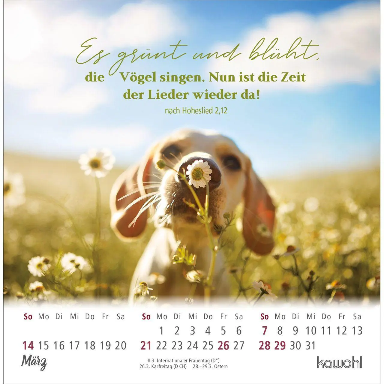Bild: 9783754879870 | Ankommen &amp; leben 2027 | Postkarten-Kalender mit Bibelwort-Herzstücken