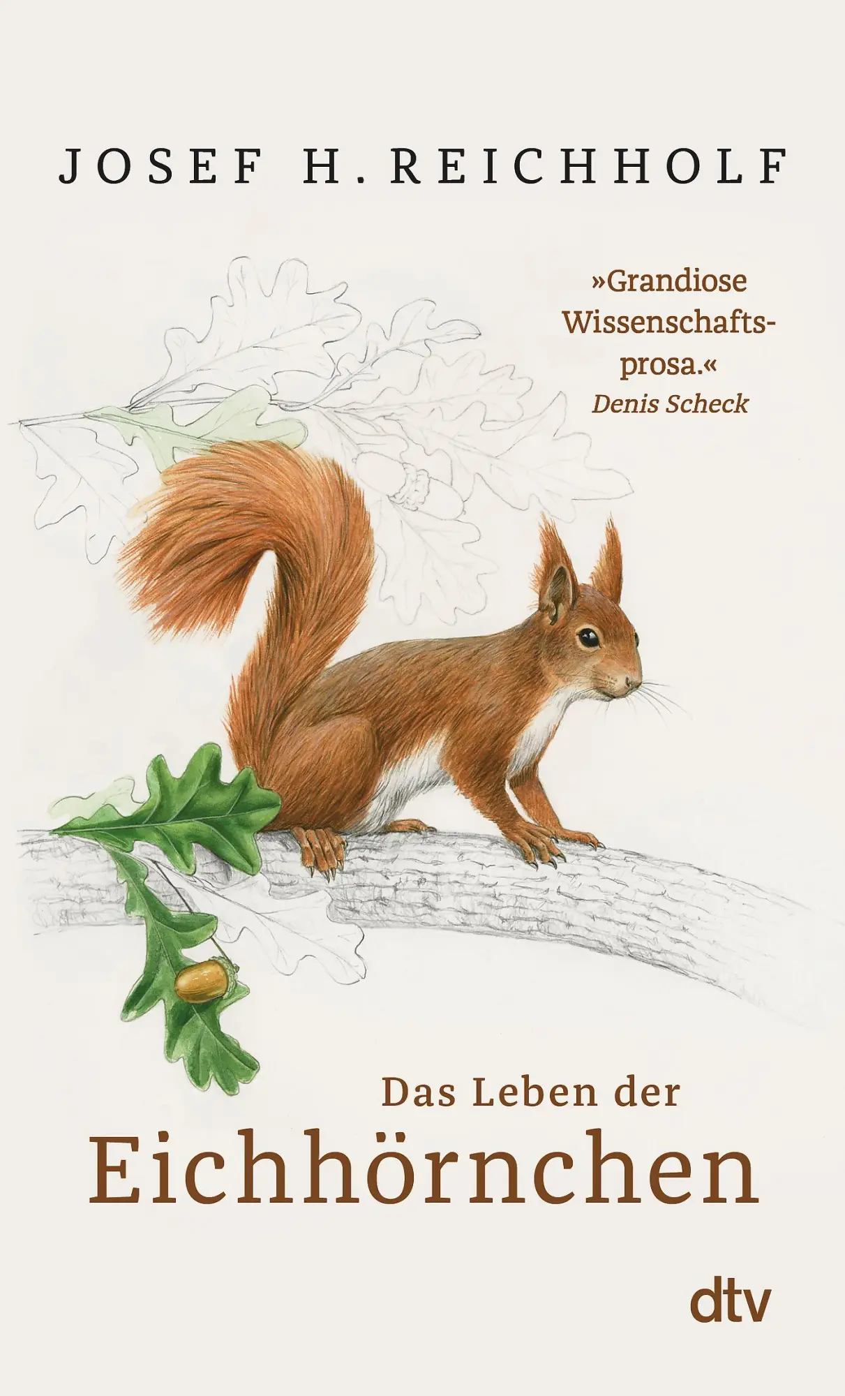 Cover: 9783423349970 | Das Leben der Eichhörnchen | Josef H. Reichholf | Taschenbuch | 224 S.