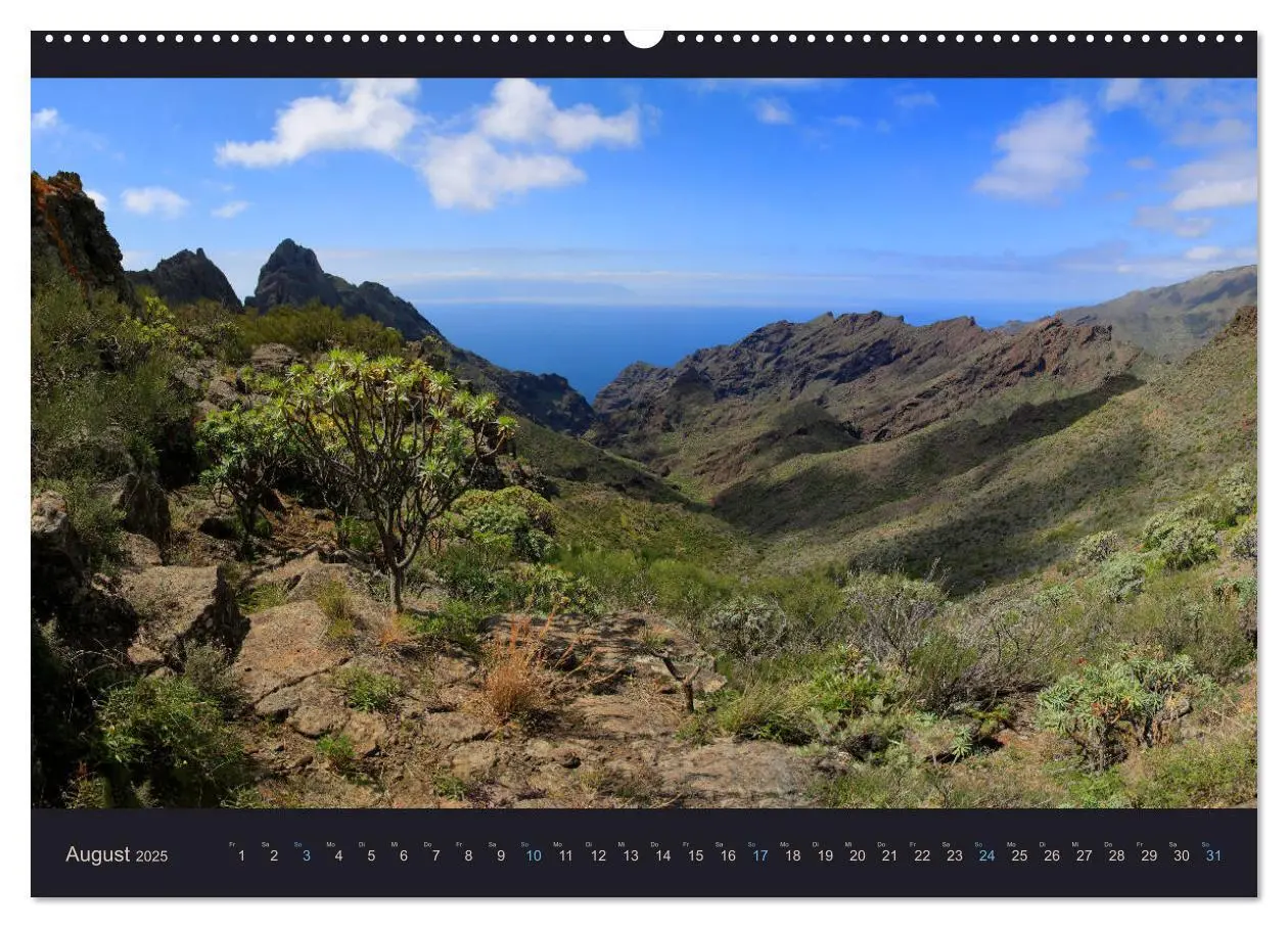 Bild: 9783435399970 | wildes Teneriffa (Wandkalender 2025 DIN A2 quer), CALVENDO...