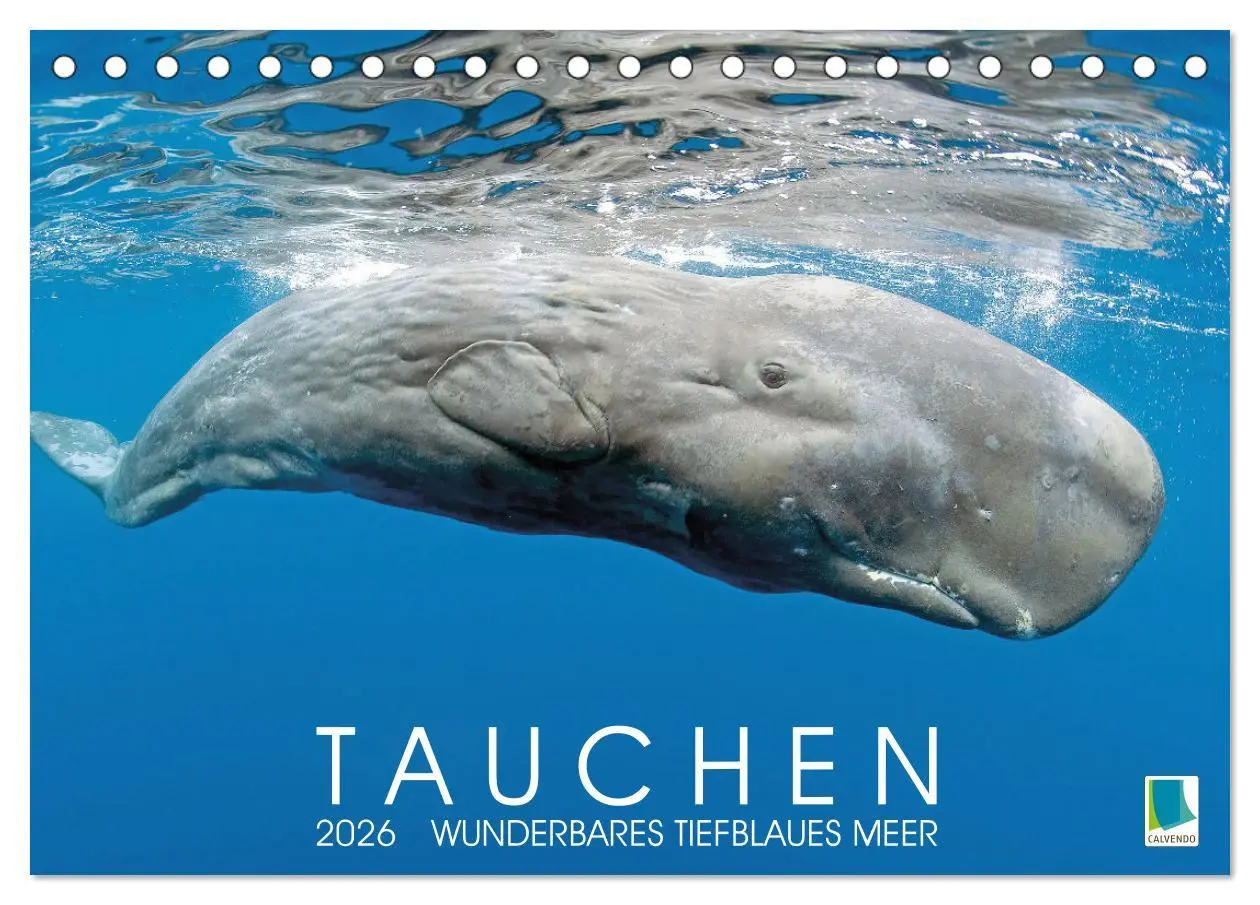 Cover: 9783457489970 | Tauchen: Wunderbares tiefblaues Meer (Tischkalender 2026 DIN A5...