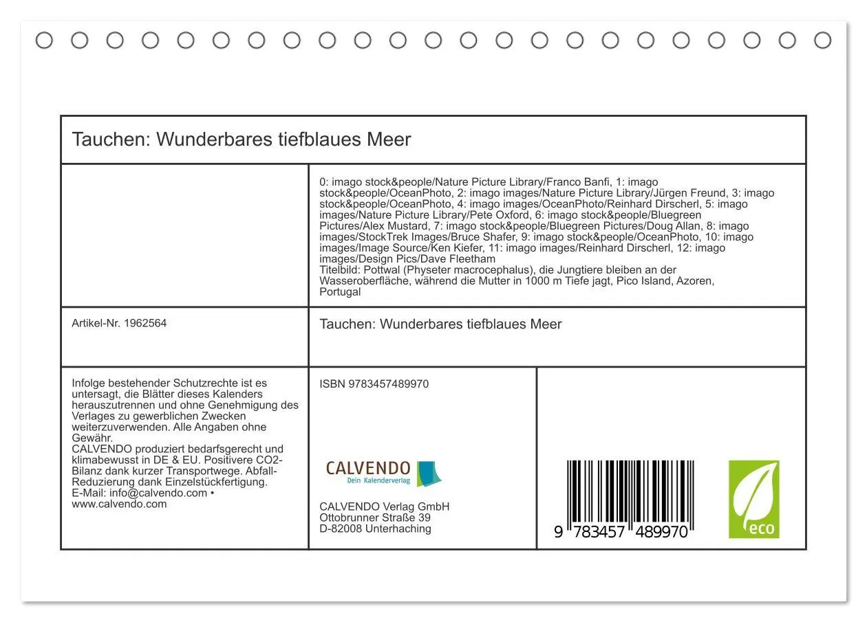 Bild: 9783457489970 | Tauchen: Wunderbares tiefblaues Meer (Tischkalender 2026 DIN A5...