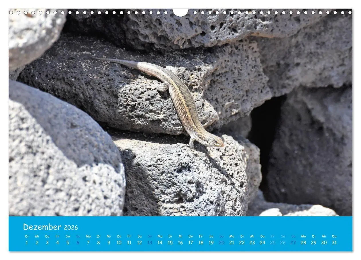 Bild: 9783457799970 | Cabo verde Inselgeflüster - Ilha do Sal (Wandkalender 2026 DIN A3...