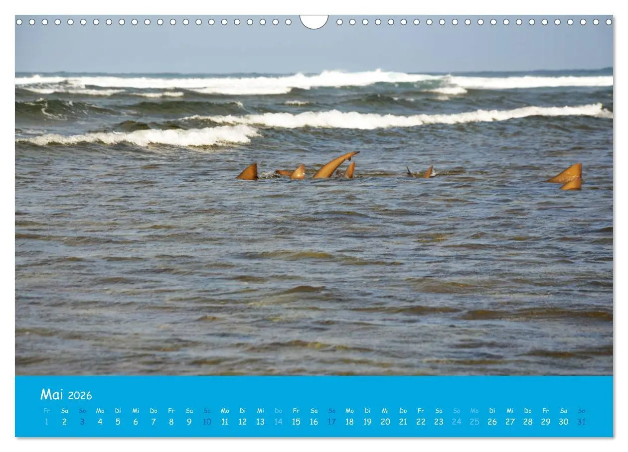 Bild: 9783457799970 | Cabo verde Inselgeflüster - Ilha do Sal (Wandkalender 2026 DIN A3...
