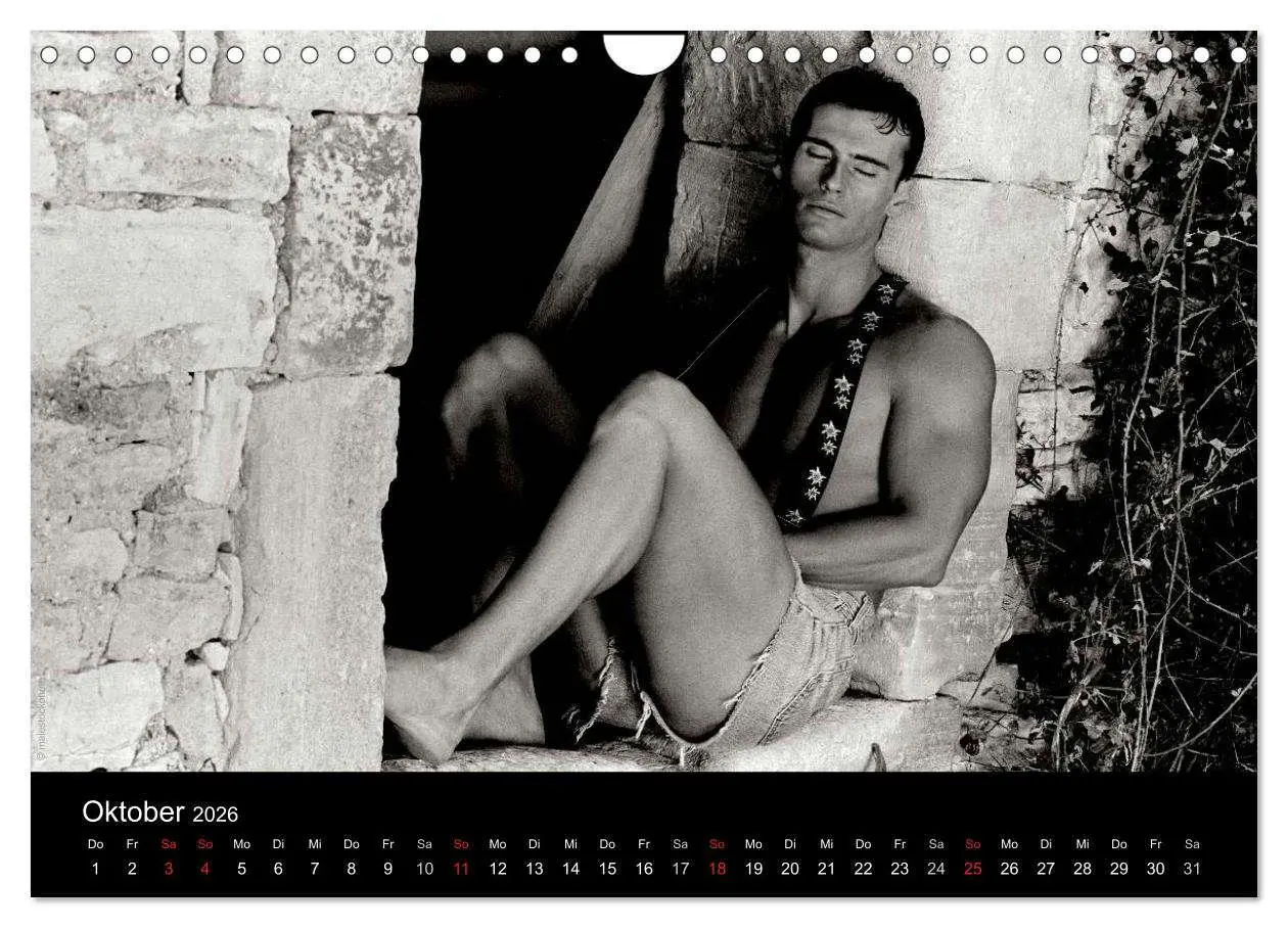 Bild: 9783516029970 | Traummänner Männerträume (Wandkalender 2026 DIN A4 quer), CALVENDO...