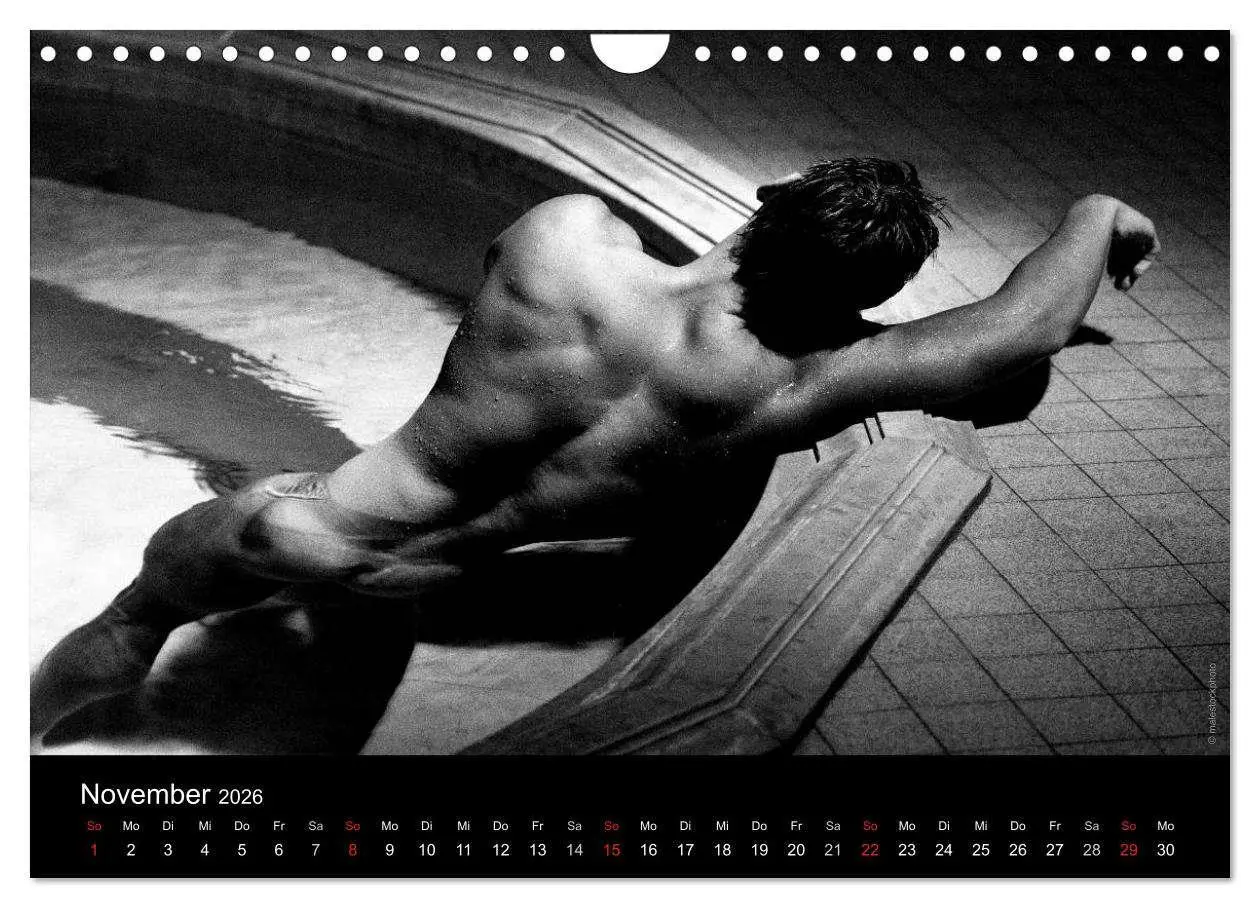 Bild: 9783516029970 | Traummänner Männerträume (Wandkalender 2026 DIN A4 quer), CALVENDO...