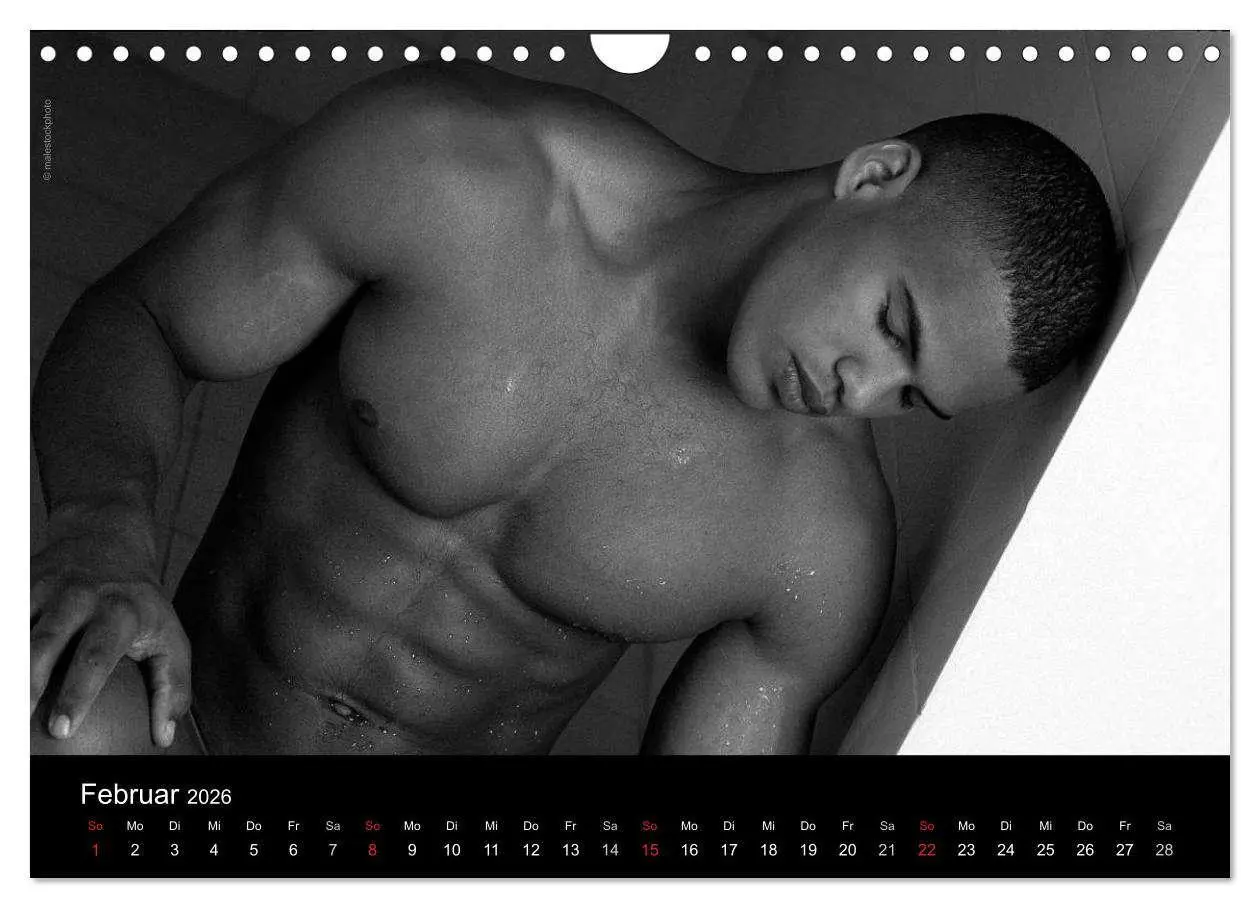 Bild: 9783516029970 | Traummänner Männerträume (Wandkalender 2026 DIN A4 quer), CALVENDO...