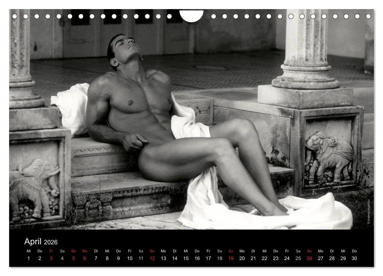 Bild: 9783516029970 | Traummänner Männerträume (Wandkalender 2026 DIN A4 quer), CALVENDO...