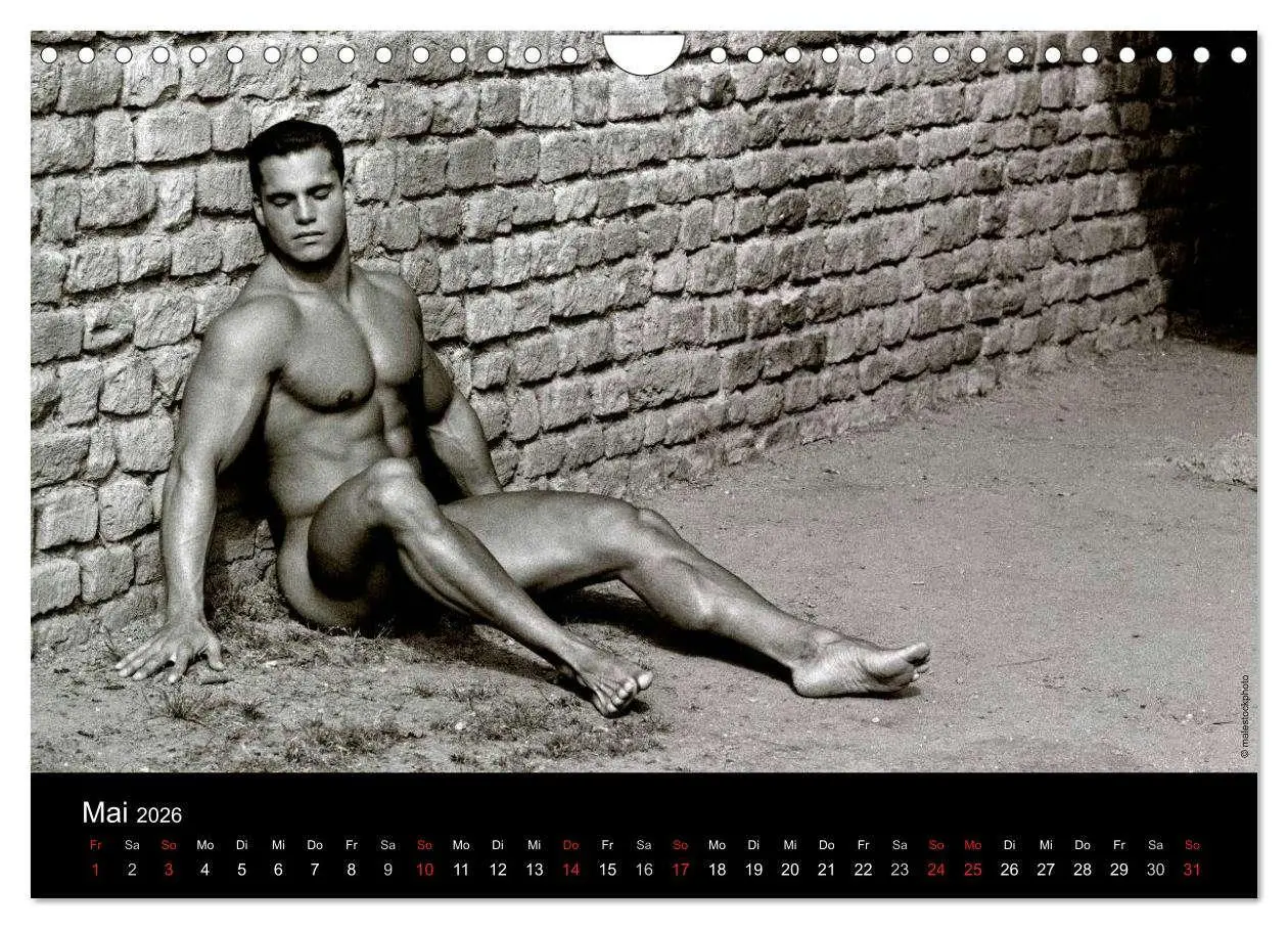 Bild: 9783516029970 | Traummänner Männerträume (Wandkalender 2026 DIN A4 quer), CALVENDO...