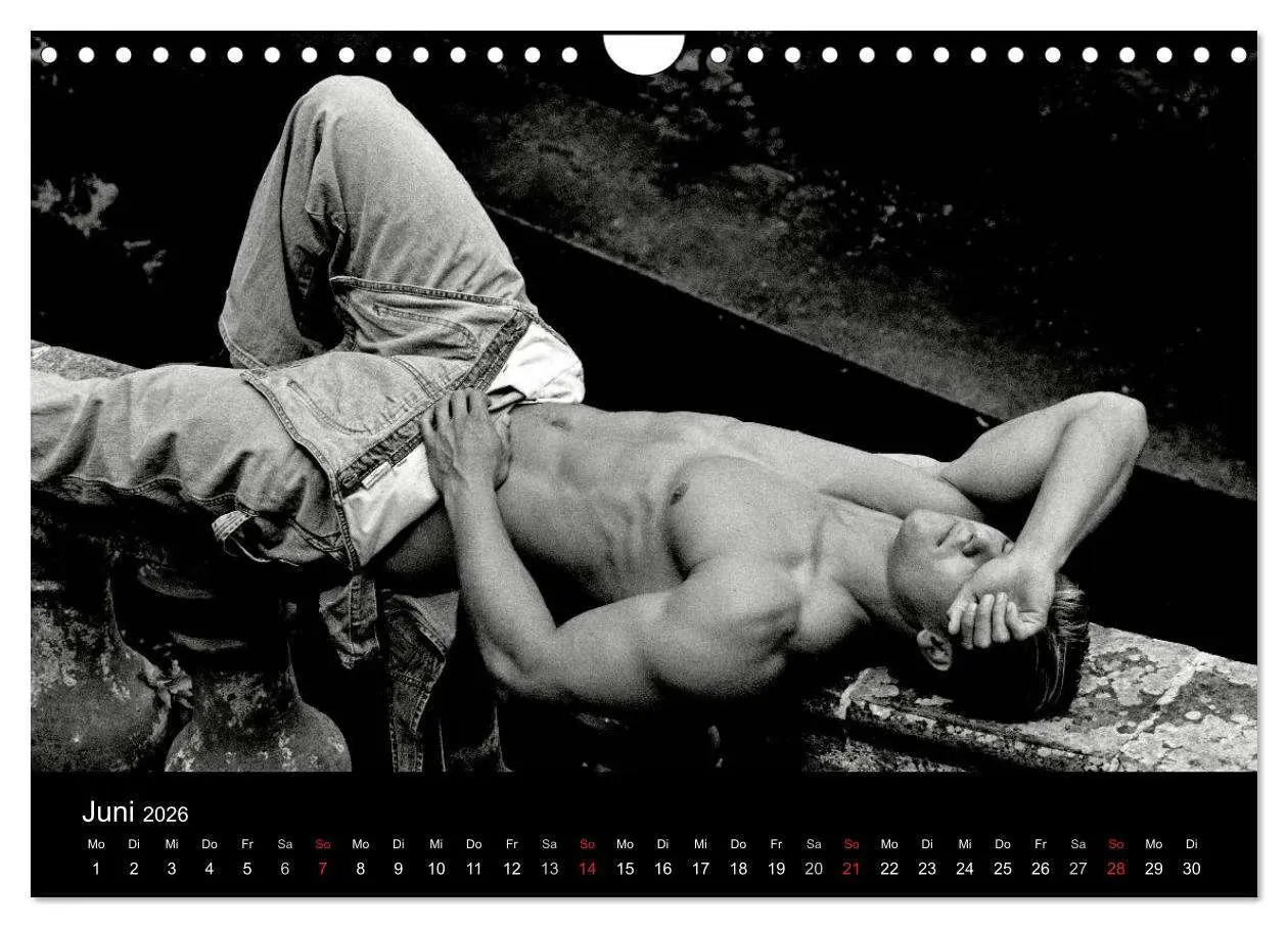 Bild: 9783516029970 | Traummänner Männerträume (Wandkalender 2026 DIN A4 quer), CALVENDO...