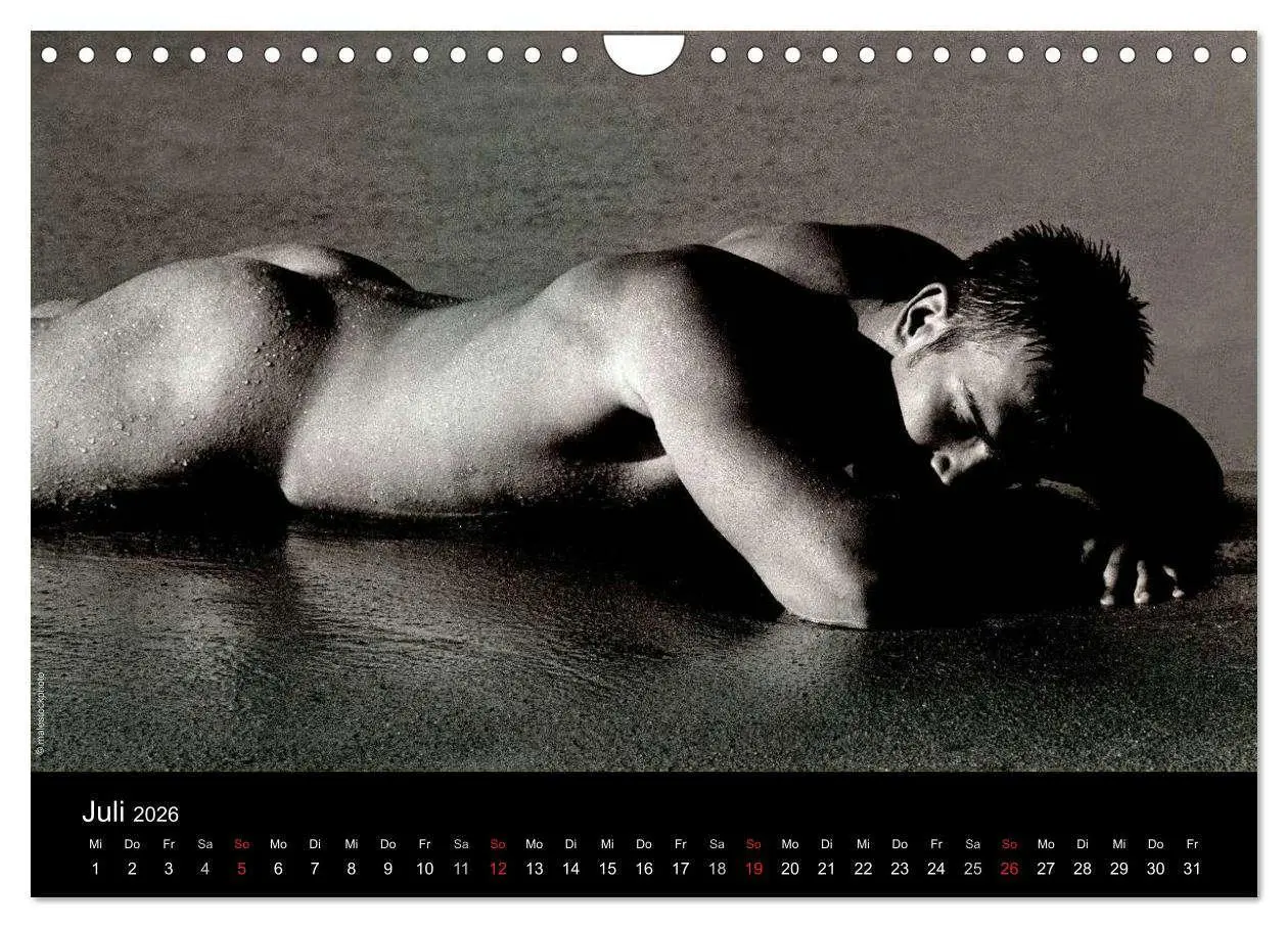 Bild: 9783516029970 | Traummänner Männerträume (Wandkalender 2026 DIN A4 quer), CALVENDO...