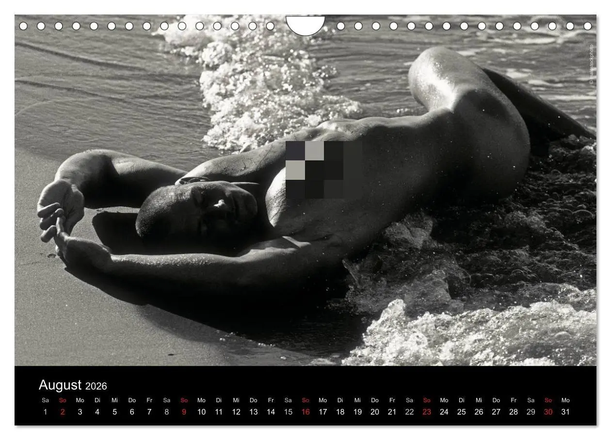 Bild: 9783516029970 | Traummänner Männerträume (Wandkalender 2026 DIN A4 quer), CALVENDO...
