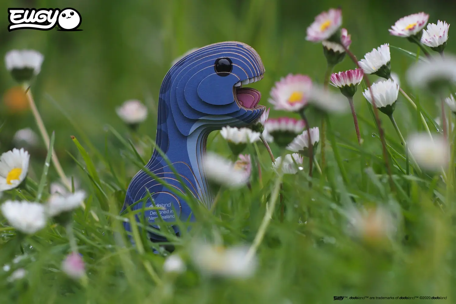 Bild: 9421035150071 | EUGY - 3D Bastelset Brontosaurus | Kit (Bastelset) | In Karton | 2026