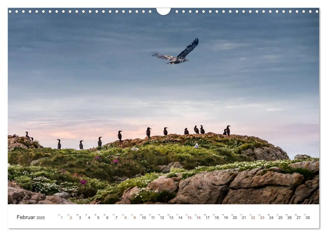 Bild: 9783435340071 | Nordland - Die Weite Skandinaviens (Wandkalender 2025 DIN A3 quer),...