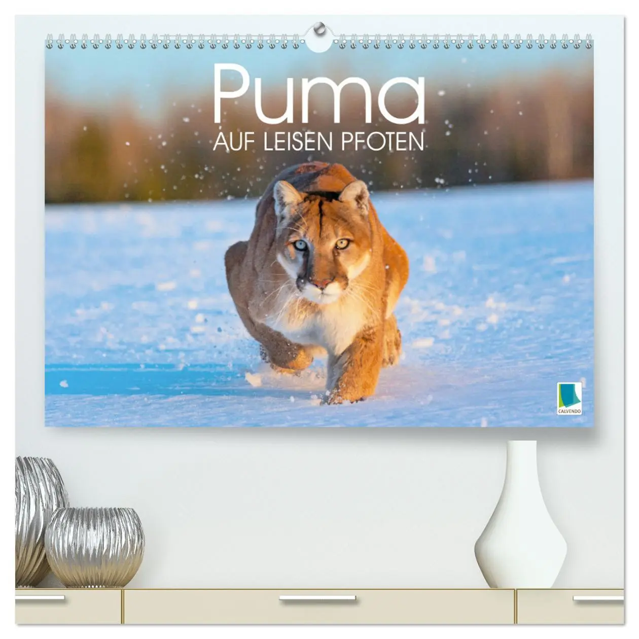 Cover: 9783457290071 | Puma: Auf leisen Pfoten (hochwertiger Premium Wandkalender 2026 DIN...