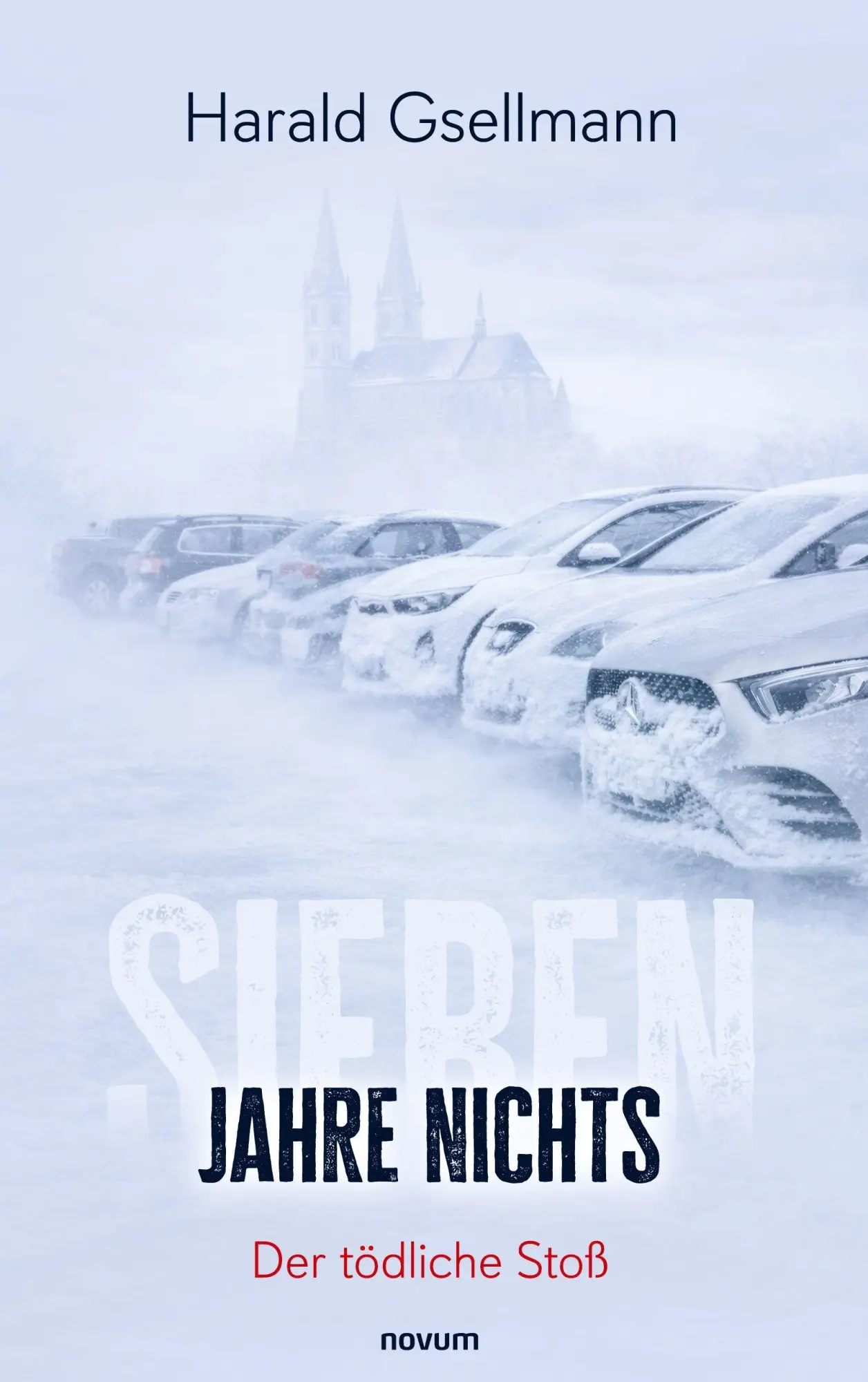 Cover: 9783711620071 | Sieben Jahre nichts | Der tödliche Stoß | Harald Gsellmann | Buch