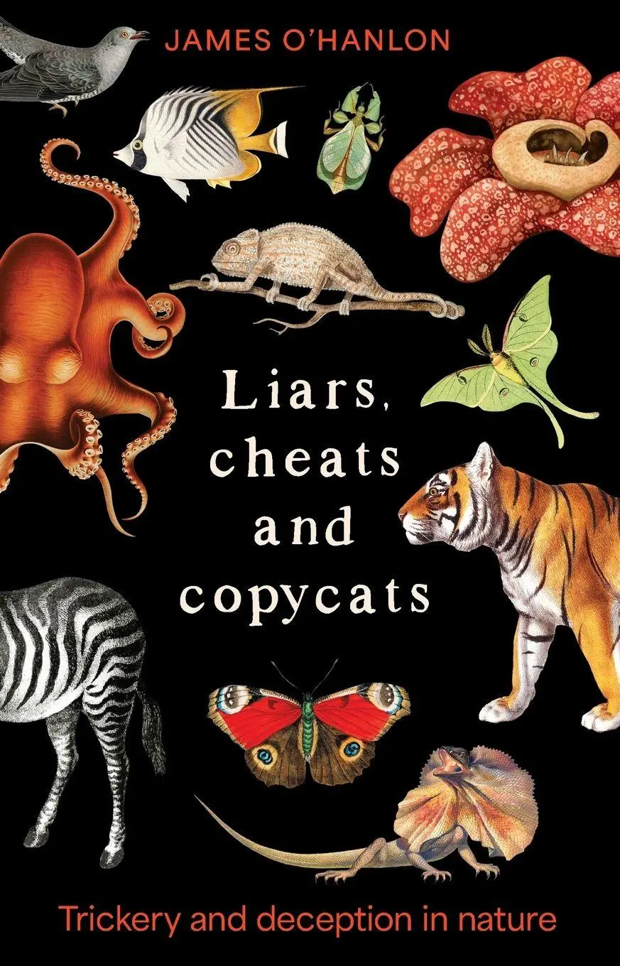 Cover: 9781761170171 | Liars, cheats and copycats | Trickery and deception in nature | Buch
