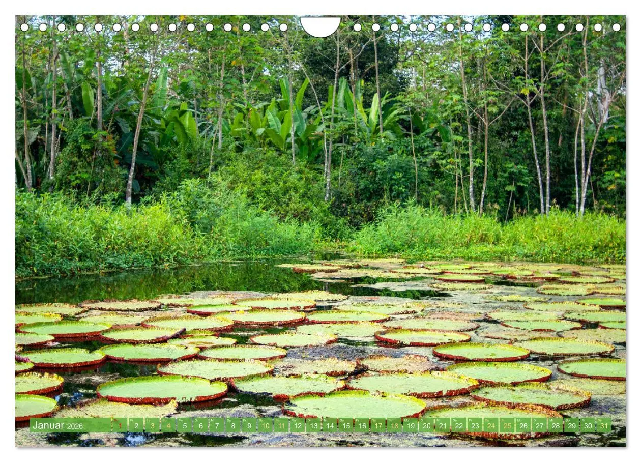 Bild: 9783457280171 | Der Amazonas: von den Anden zum Atlantik (Wandkalender 2026 DIN A4...