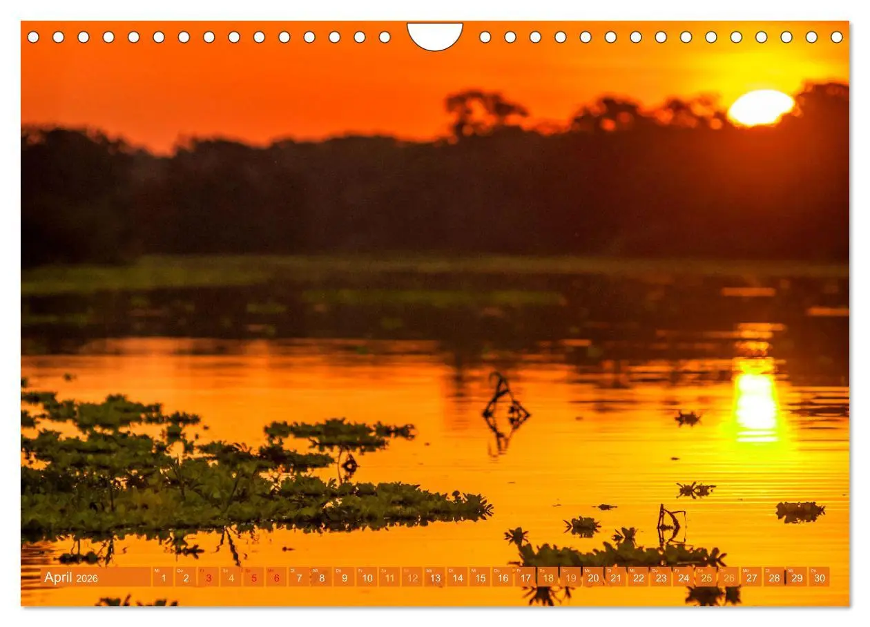 Bild: 9783457280171 | Der Amazonas: von den Anden zum Atlantik (Wandkalender 2026 DIN A4...