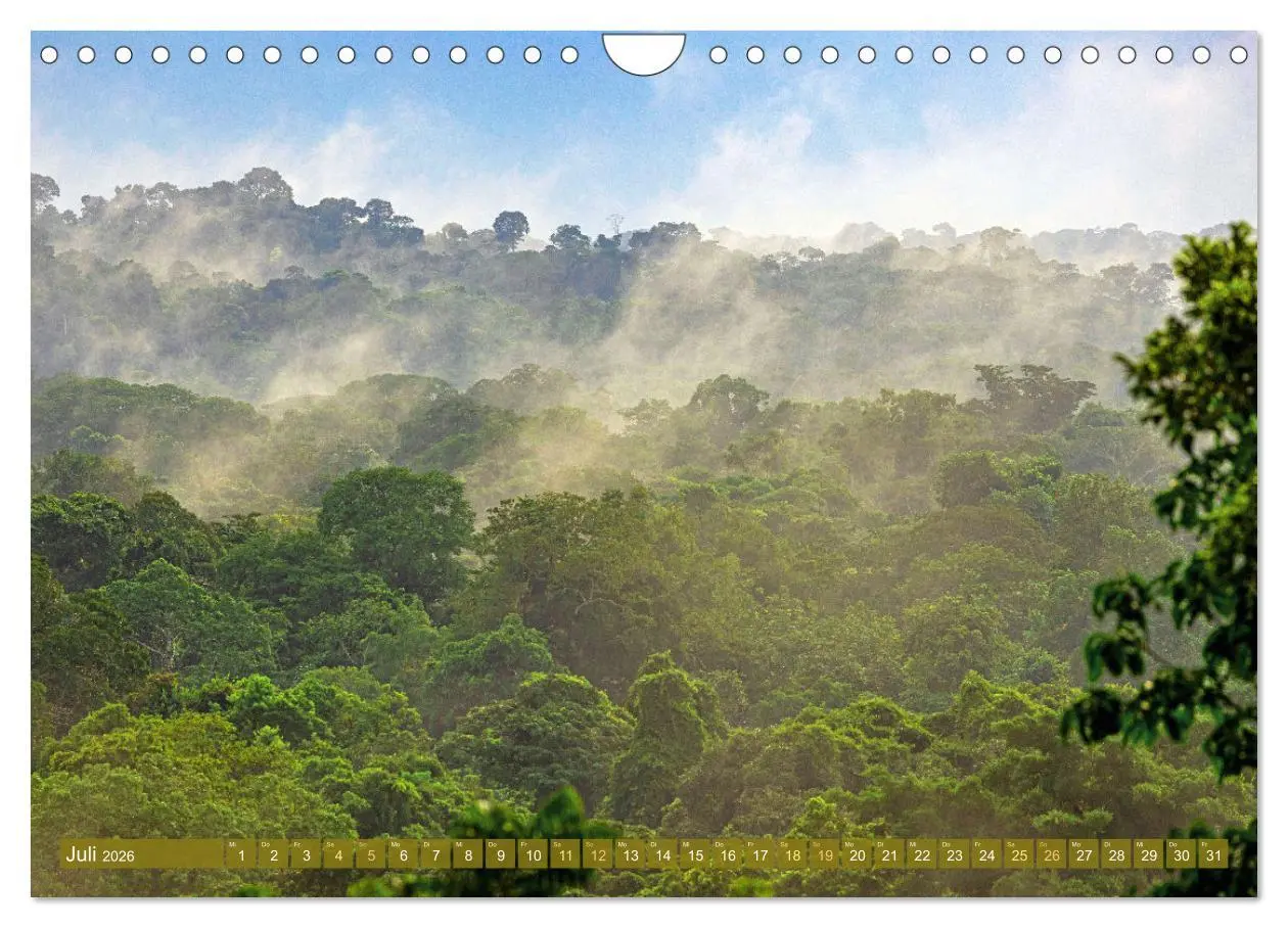 Bild: 9783457280171 | Der Amazonas: von den Anden zum Atlantik (Wandkalender 2026 DIN A4...