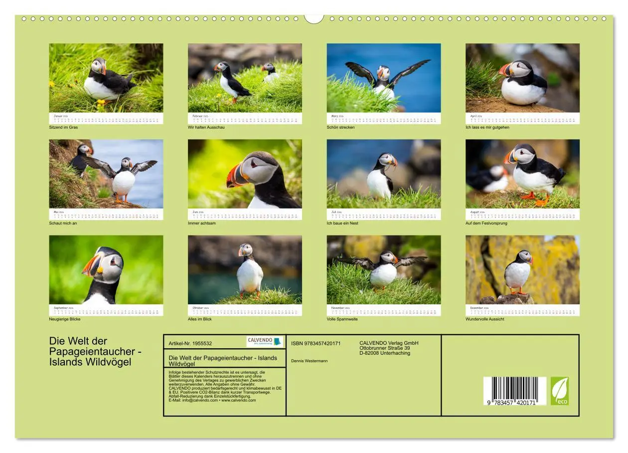 Bild: 9783457420171 | Die Welt der Papageientaucher - Islands Wildvögel (hochwertiger...