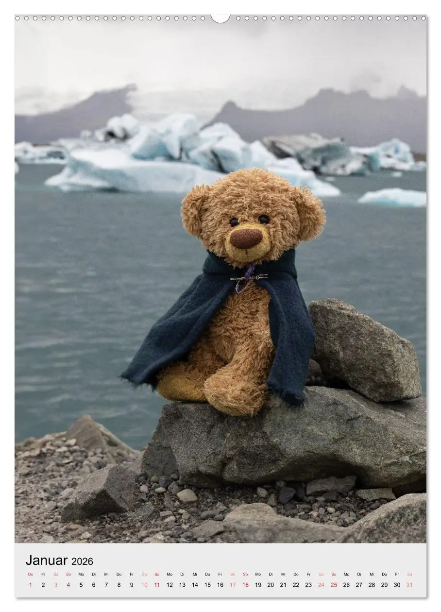 Bild: 9783516370171 | Travelling Teddy in Island (hochwertiger Premium Wandkalender 2026...