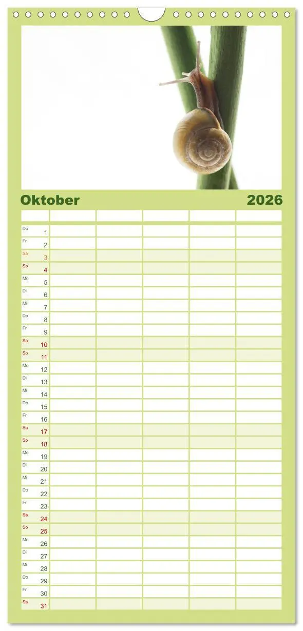 Bild: 9783516510171 | Familienplaner 2026 - Schnecken FineArt mit 5 Spalten...