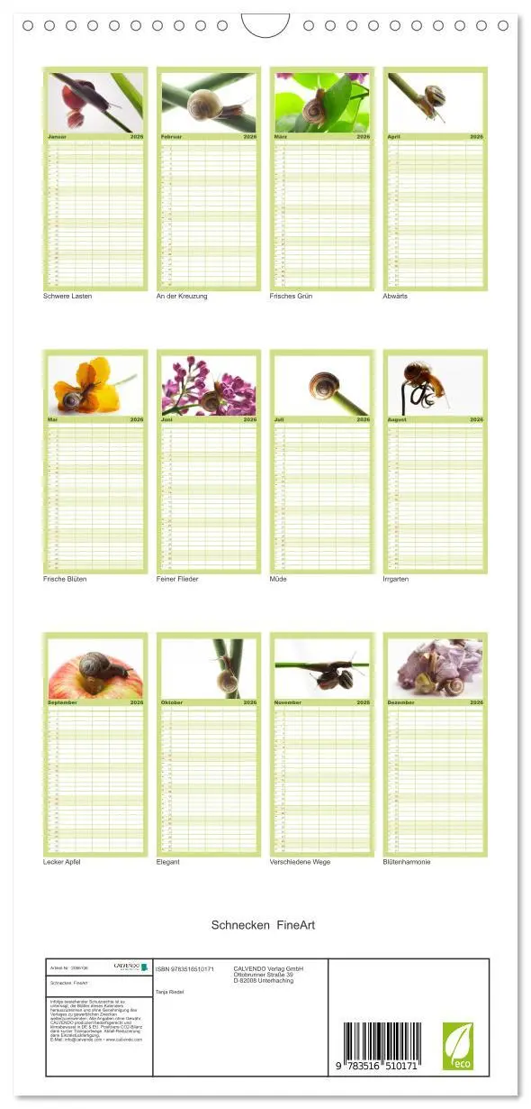 Bild: 9783516510171 | Familienplaner 2026 - Schnecken FineArt mit 5 Spalten...