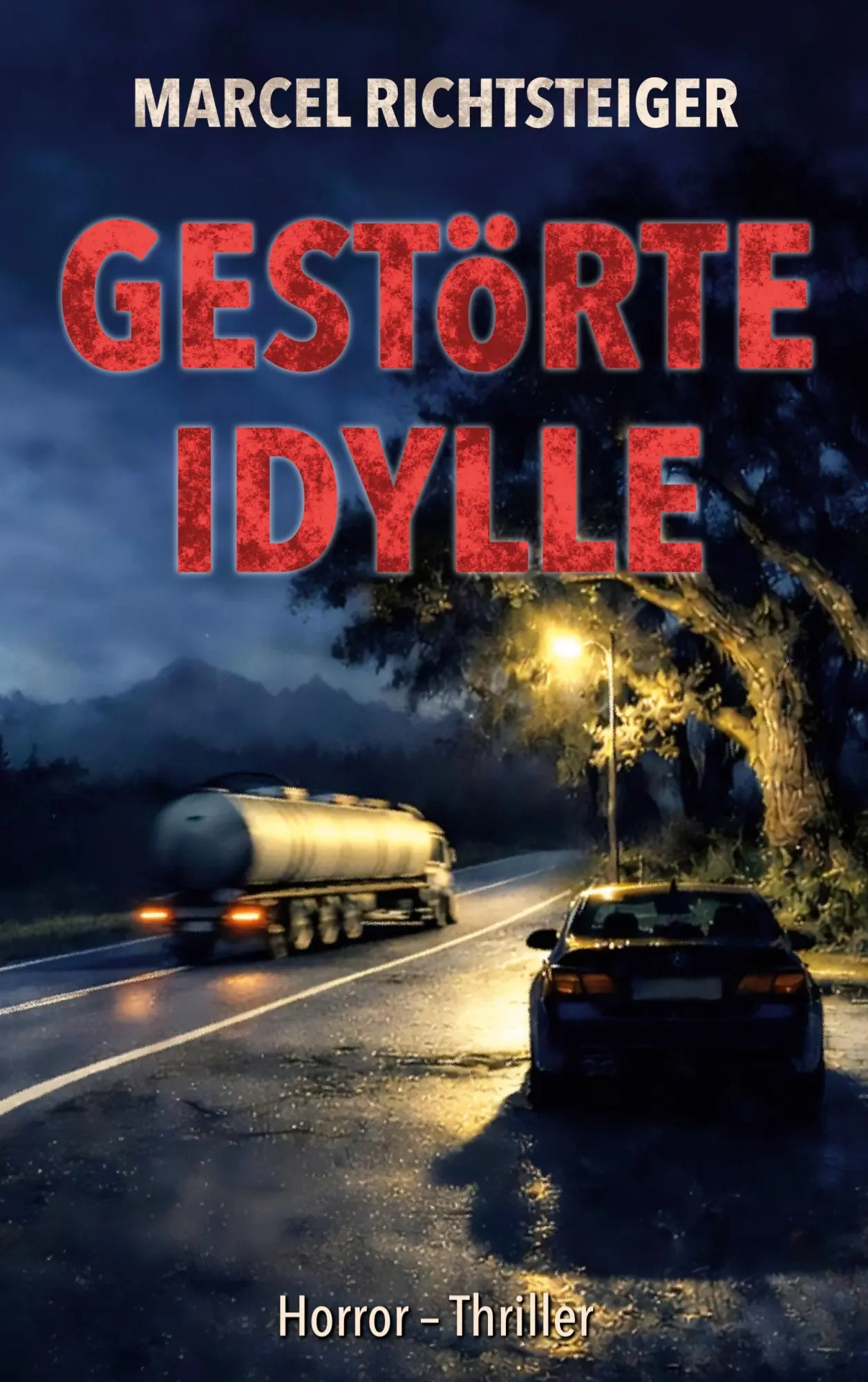 Cover: 9783695710171 | Gestörte Idylle | Ein Dorf. Ein Geheimnis. Kein Ausweg. | Richtsteiger