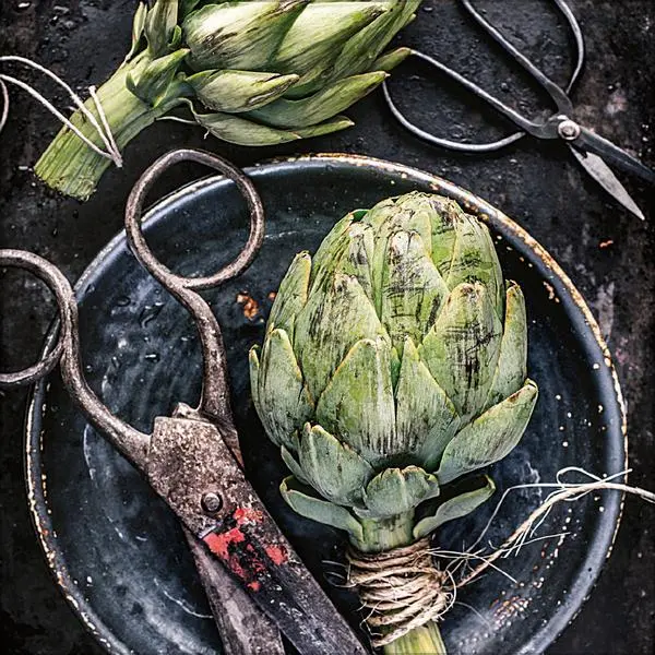 Bild: 9783731890171 | Kitchen Art 2026 | Verlag Korsch | Kalender | 13 S. | Deutsch | 2026