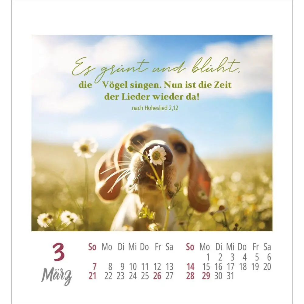 Bild: 9783754890271 | Frei sein &amp; leben 2027 | Aufkleber-Kalender | Kalender | Spiralbindung