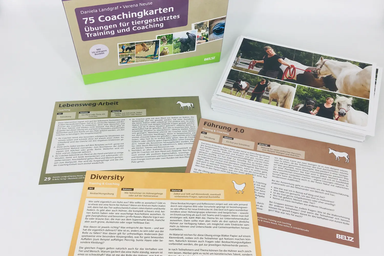 Bild: 4019172300371 | 75 Coachingkarten Übungen für tiergestütztes Training und Coaching