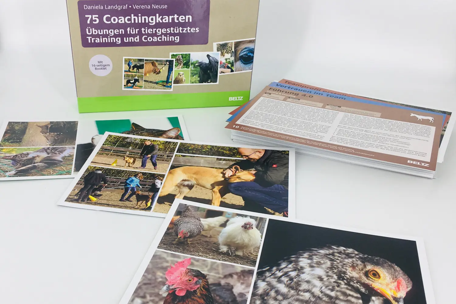 Bild: 4019172300371 | 75 Coachingkarten Übungen für tiergestütztes Training und Coaching