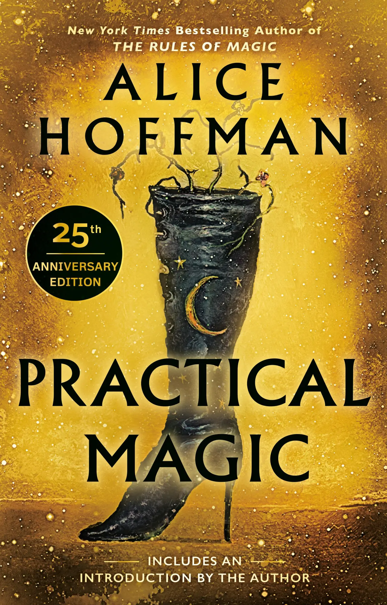 Cover: 9780425190371 | Practical Magic | 25th Anniversary Edition | Alice Hoffman | Buch