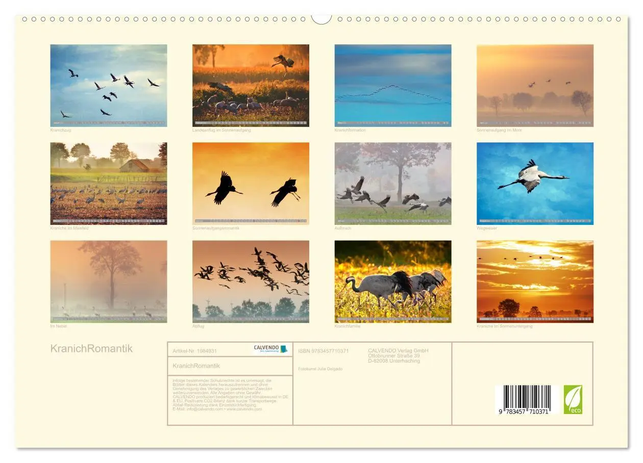 Bild: 9783457710371 | KranichRomantik (hochwertiger Premium Wandkalender 2026 DIN A2...