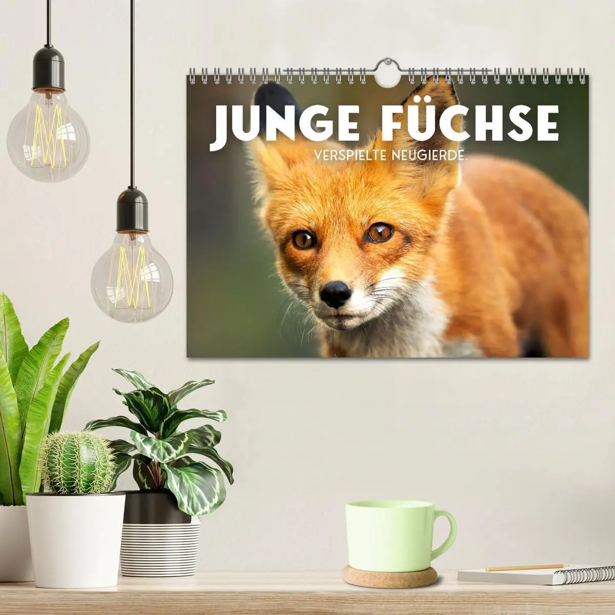 Bild: 9783457560471 | Junge Füchse - Verspielte Neugierde. (Wandkalender 2026 DIN A4...