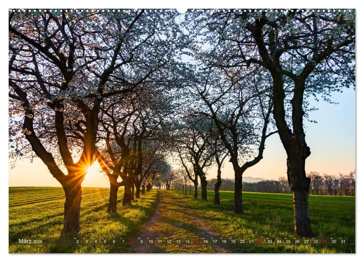 Bild: 9783457630471 | Stimmungsvolle Landschaften in Sachsen 2026 (Wandkalender 2026 DIN...