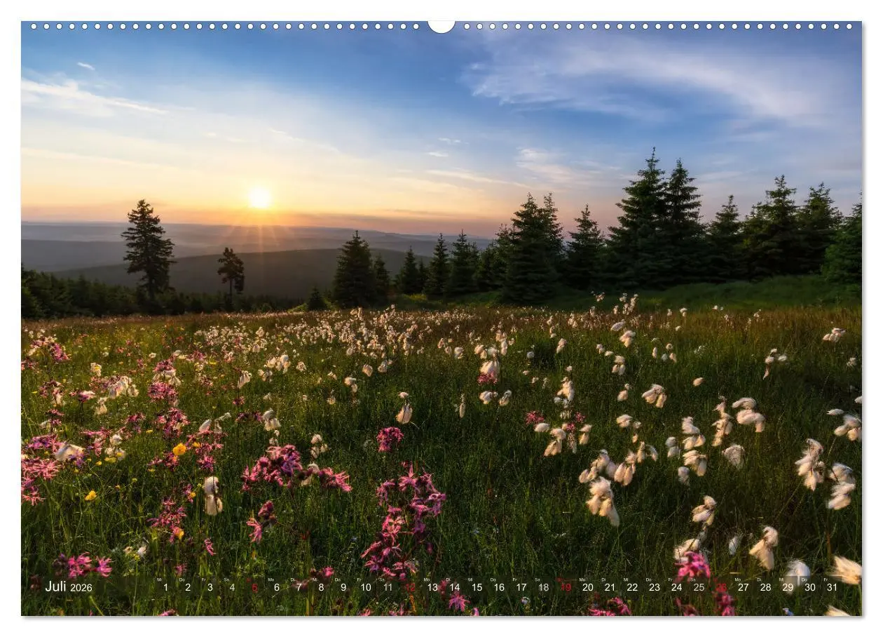 Bild: 9783457630471 | Stimmungsvolle Landschaften in Sachsen 2026 (Wandkalender 2026 DIN...
