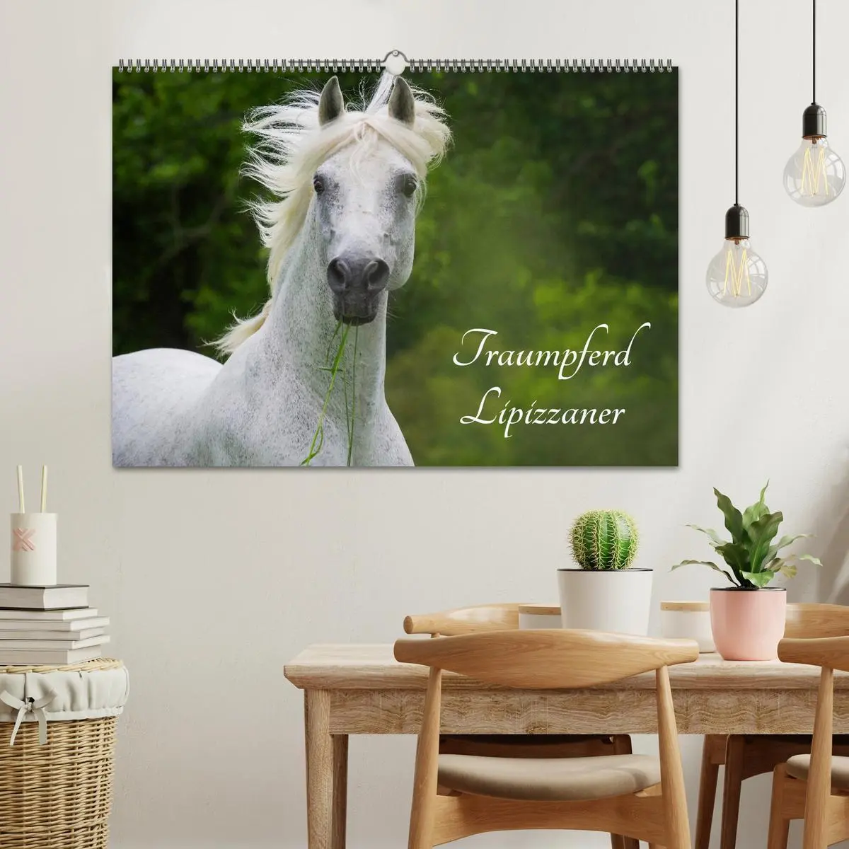 Bild: 9783516030471 | Traumpferd Lipizzaner (Wandkalender 2026 DIN A2 quer), CALVENDO...