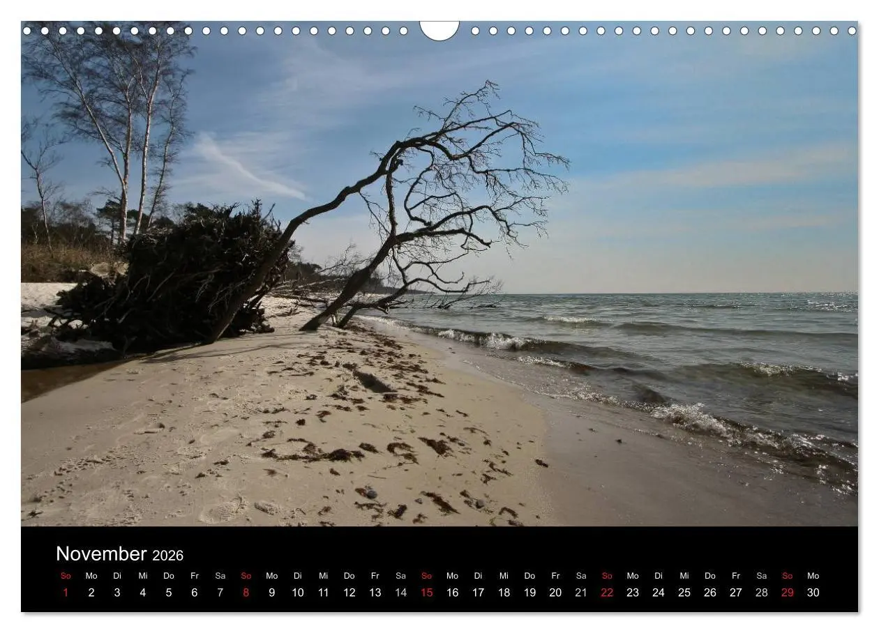 Bild: 9783516100471 | Dänemarks Bornholm 2026 (Wandkalender 2026 DIN A3 quer), CALVENDO...