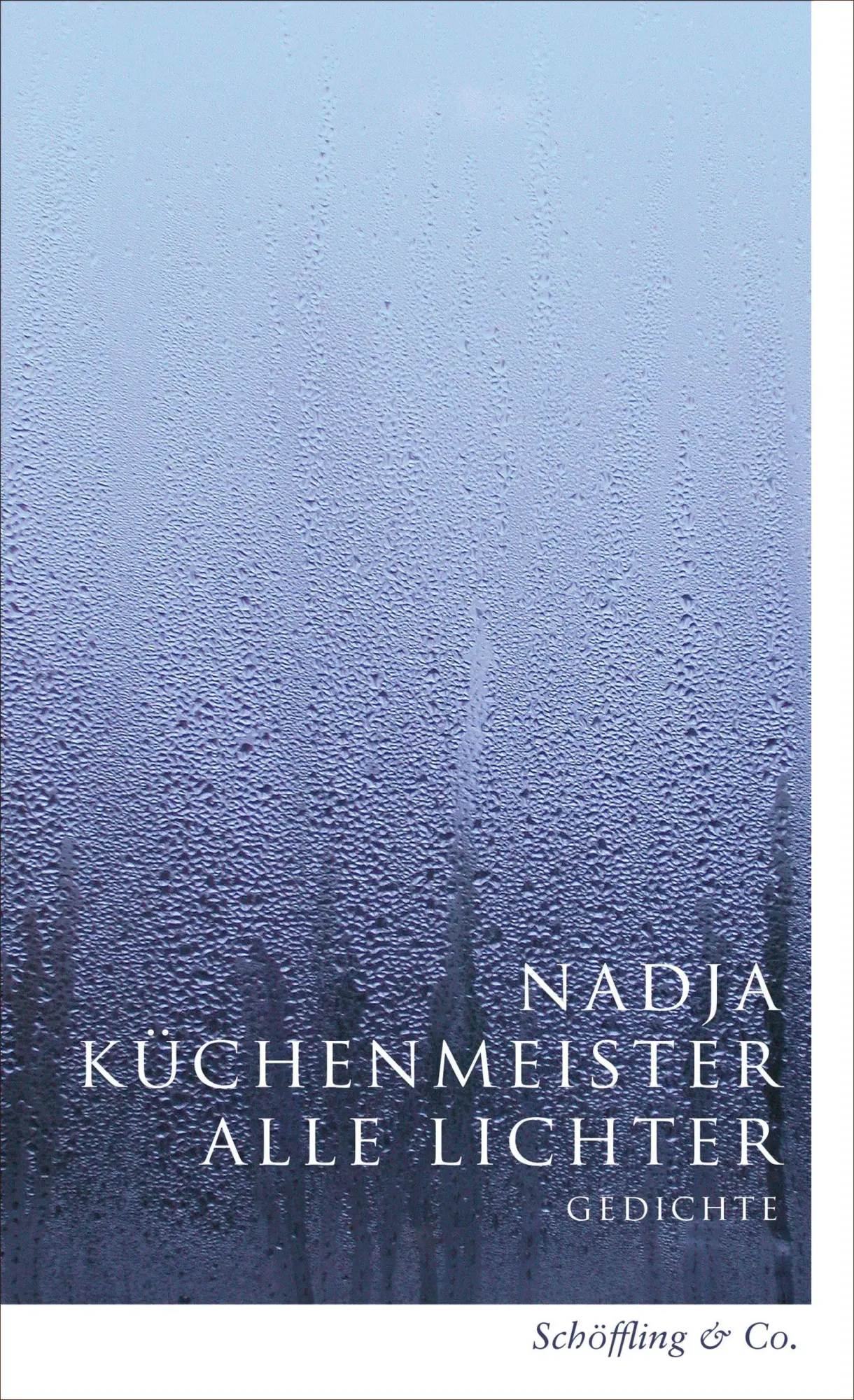 Cover: 9783690970471 | Alle Lichter | Gedichte | Nadja Küchenmeister | Taschenbuch | 112 S.
