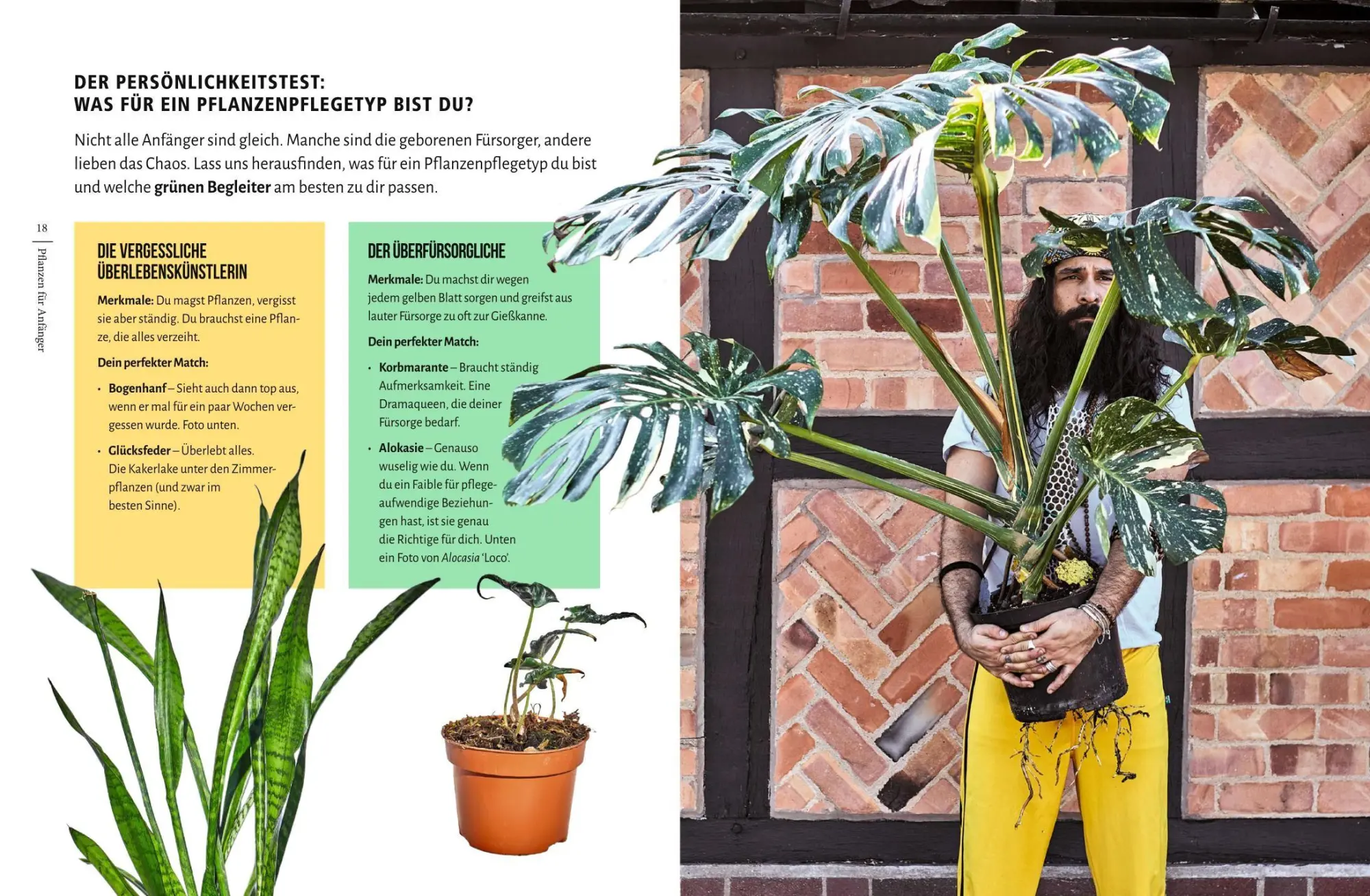 Bild: 9783758900471 | You're overwatering it! | Jonny Balchandani | Buch | 224 S. | Deutsch